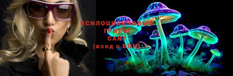 Псилоцибиновые грибы MAGIC MUSHROOMS  блэк спрут рабочий сайт  Азов  купить наркотики цена 